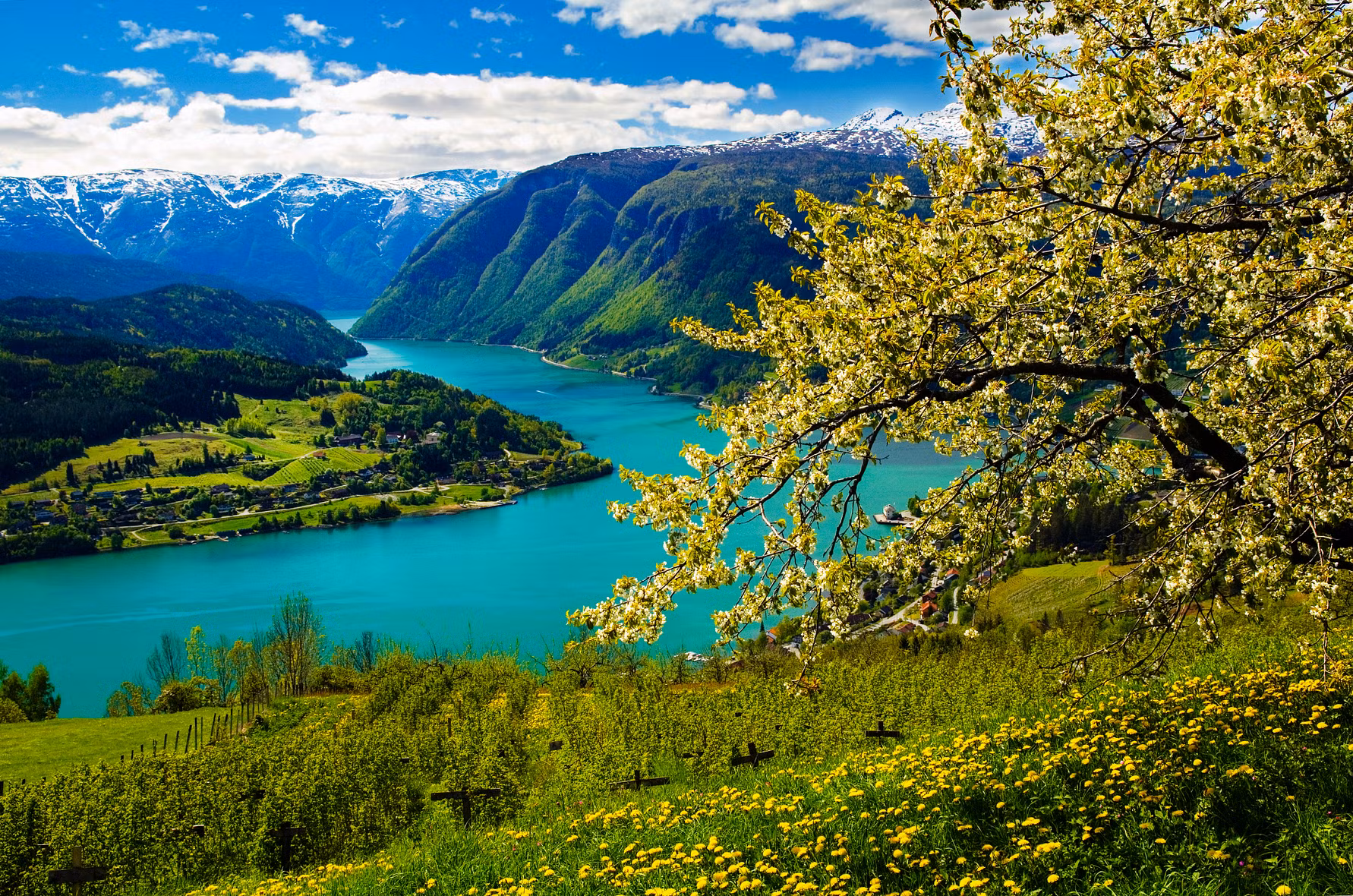 Vision of Scandinavia & the Baltics